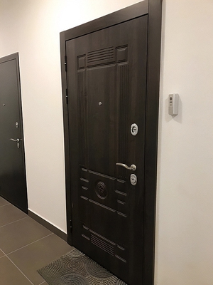 Металлическая дверь в квартиру