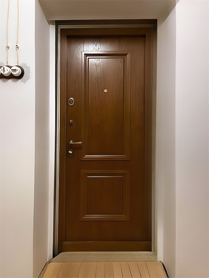 Однопольная дверь МДФ в квартиру
