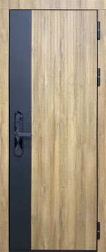 Утепленная дверь с шумоизоляцией и биометрическим замком